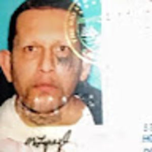 Meet your Posher, Pearl